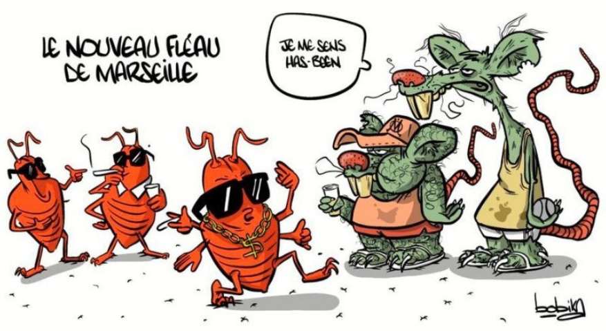 image de puces en bandes